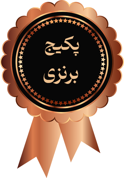 Badge-Bronz